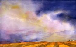 Ribbons of Fields 250x180
