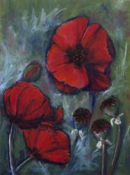 Oriental Poppies