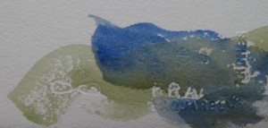 Watermark, paint cropped